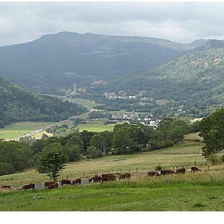 Vacances Au Pied Des Monts Du Cantal Laveissière Zewnętrze zdjęcie