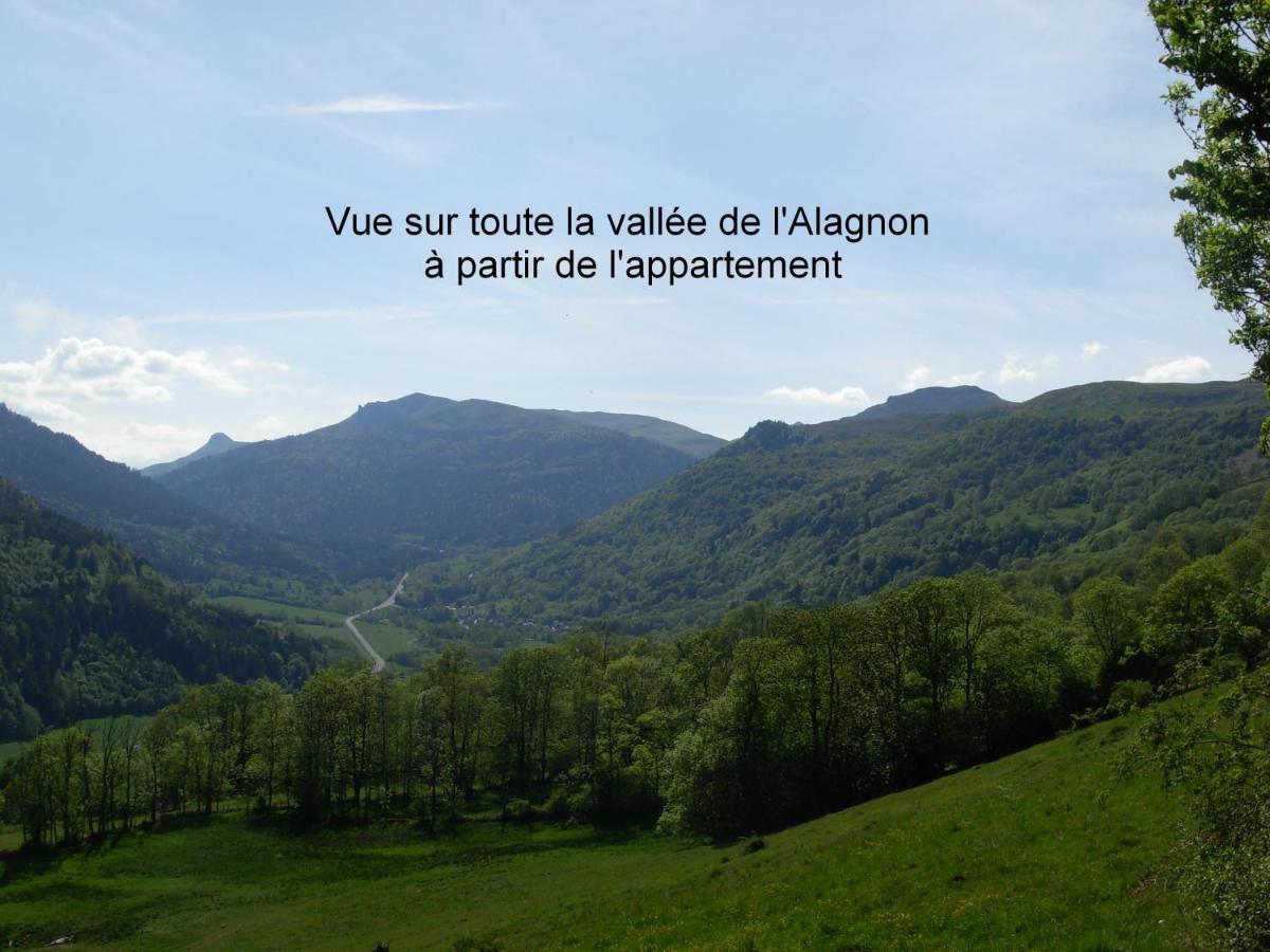 Vacances Au Pied Des Monts Du Cantal Laveissière Zewnętrze zdjęcie
