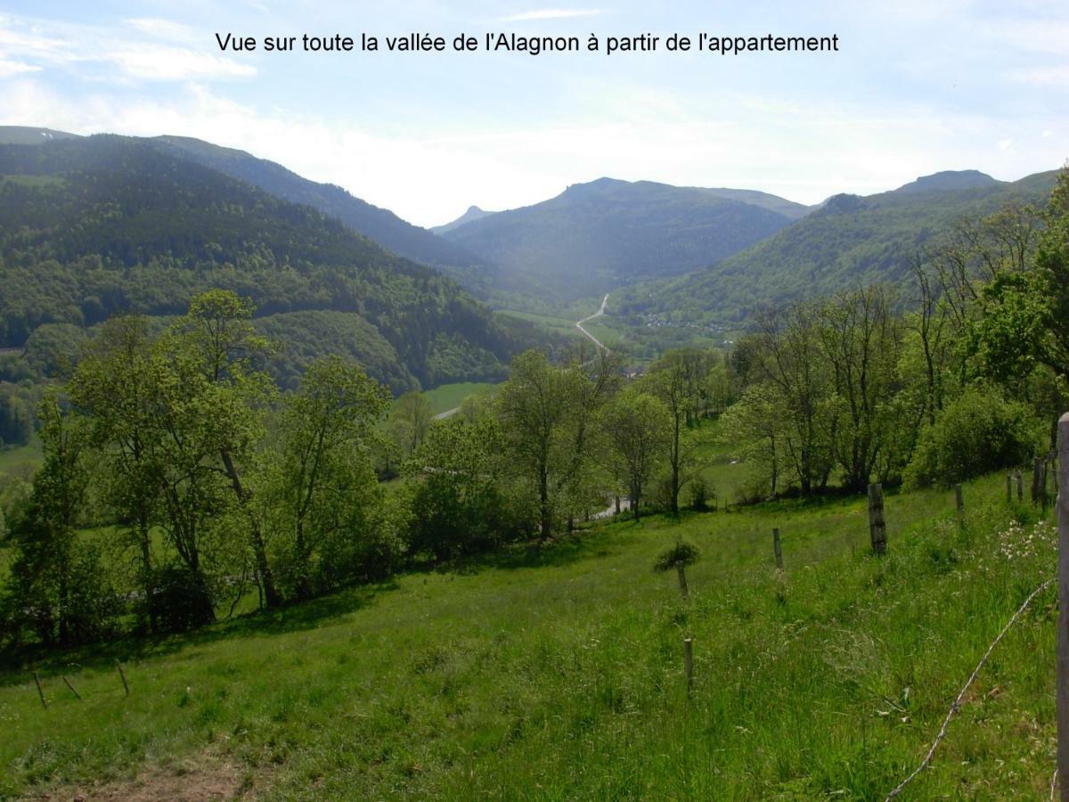 Vacances Au Pied Des Monts Du Cantal Laveissière Zewnętrze zdjęcie