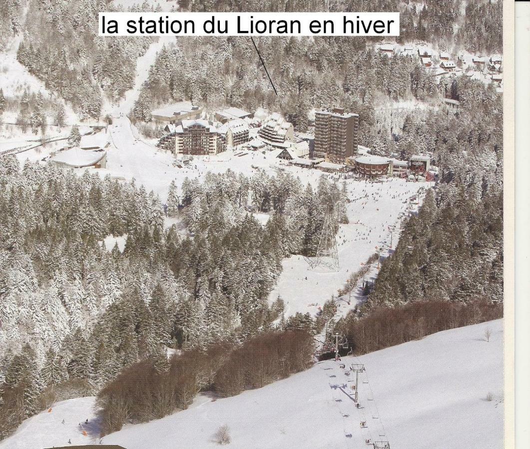 Vacances Au Pied Des Monts Du Cantal Laveissière Zewnętrze zdjęcie