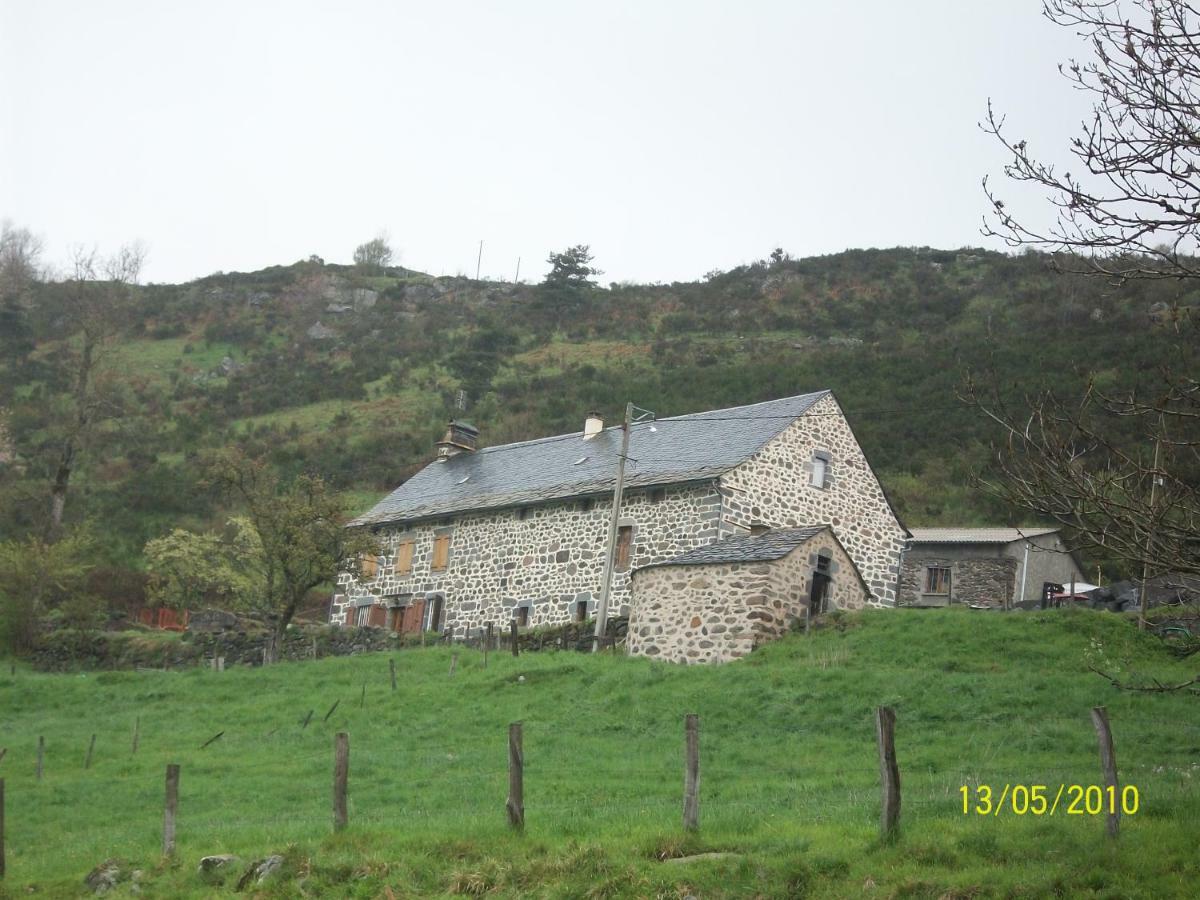 Vacances Au Pied Des Monts Du Cantal Laveissière Zewnętrze zdjęcie