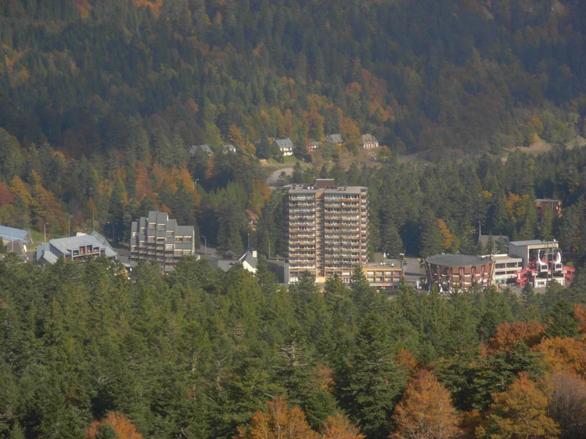 Vacances Au Pied Des Monts Du Cantal Laveissière Zewnętrze zdjęcie