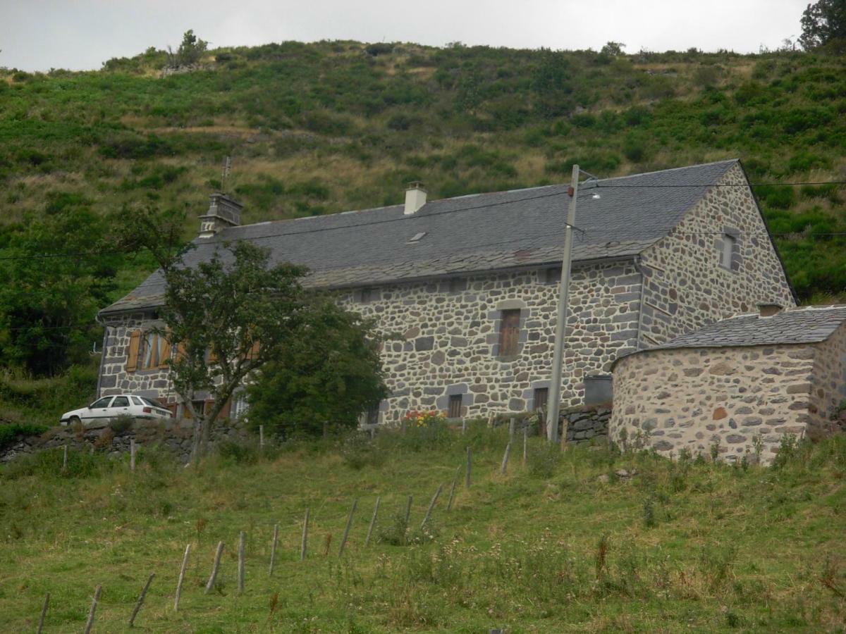 Vacances Au Pied Des Monts Du Cantal Laveissière Zewnętrze zdjęcie